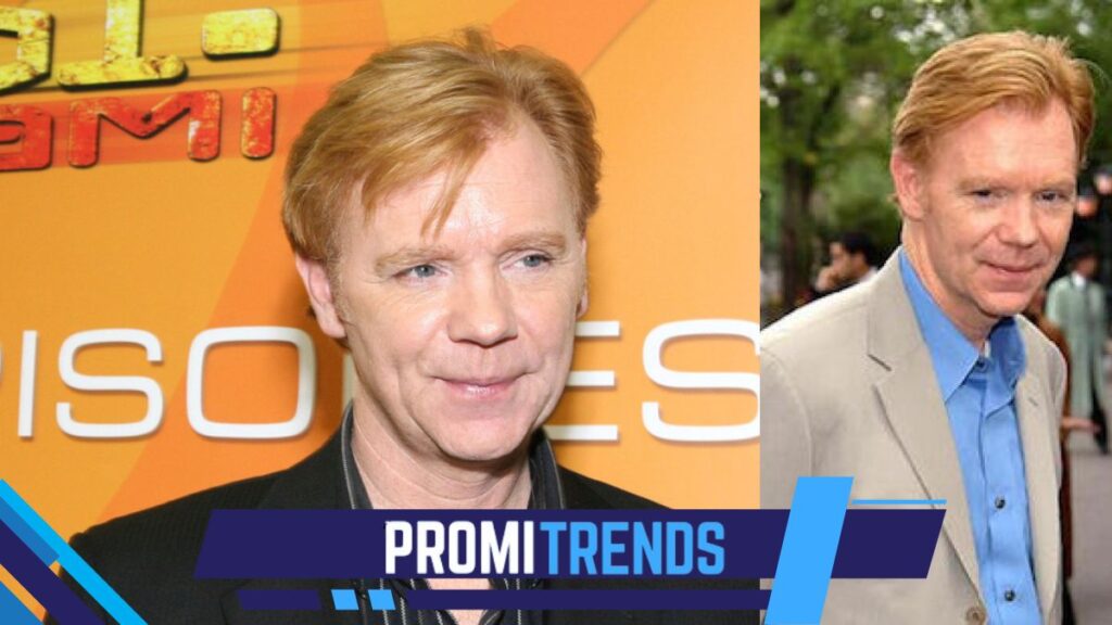 David Caruso Ehepartnerin – Geheimnisse seines Liebeslebens David Caruso Ehepartnerin
